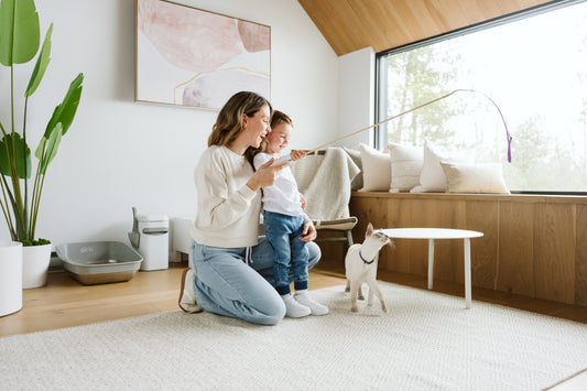 The Arrival of a Baby in a Home with a Cat: A Practical, Myth-Free Guide